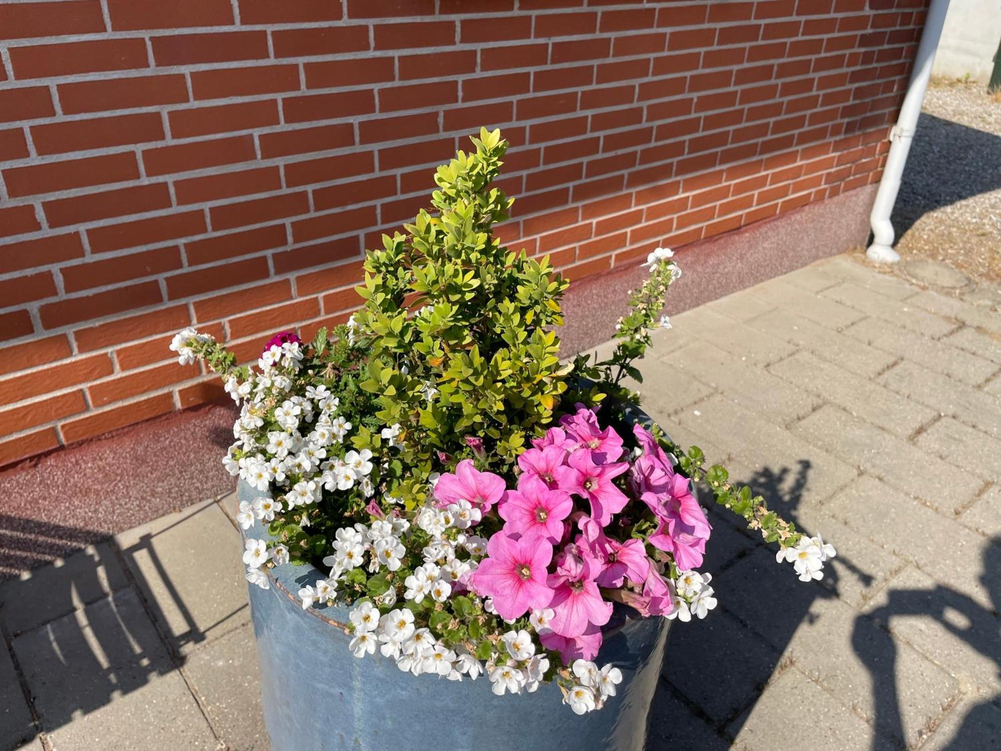 Apartament In Brons Skærbæk